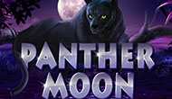 Игровой автомат Вулкан Panter moon